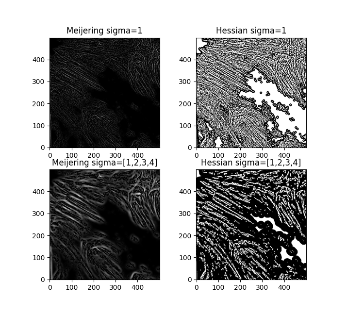 Hessian and meijering filters