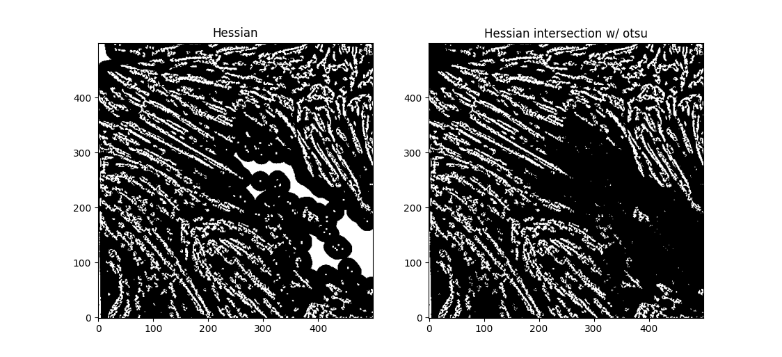 Hessian segmentations