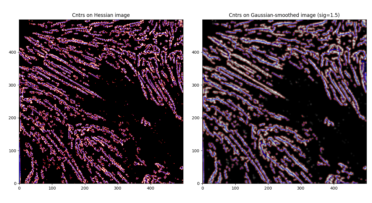 Label contours for both the base Hessian and gaussian version