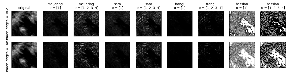 Skimage variety of segmentation types